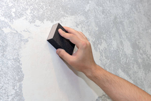 Best Mold Documentation for Insurance Claims  in Syosset, NY