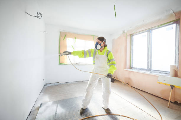 Best Basement Mold Removal  in Syosset, NY