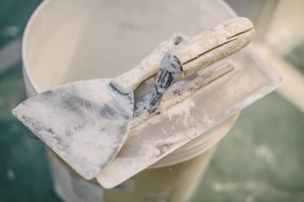 Best Mold Prevention Services  in Syosset, NY