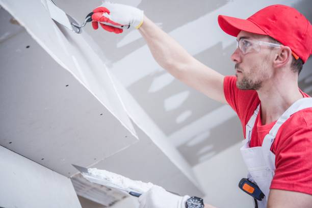 Best Post-Construction Mold Inspection  in Syosset, NY